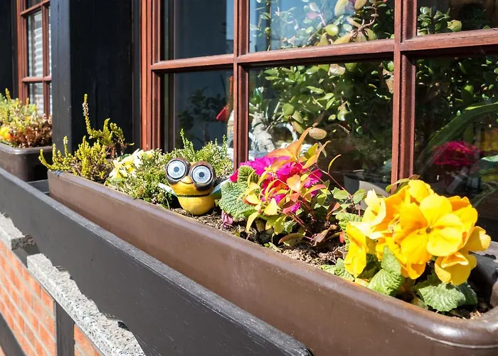 Zur Weissen Frau * Брилон